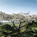 شقة Valerian يورك