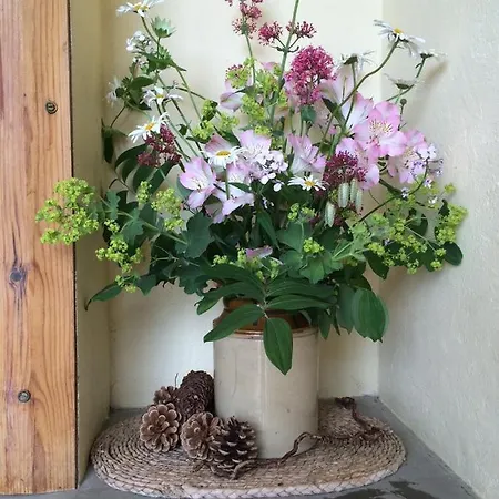 Апартаменты Valerian *