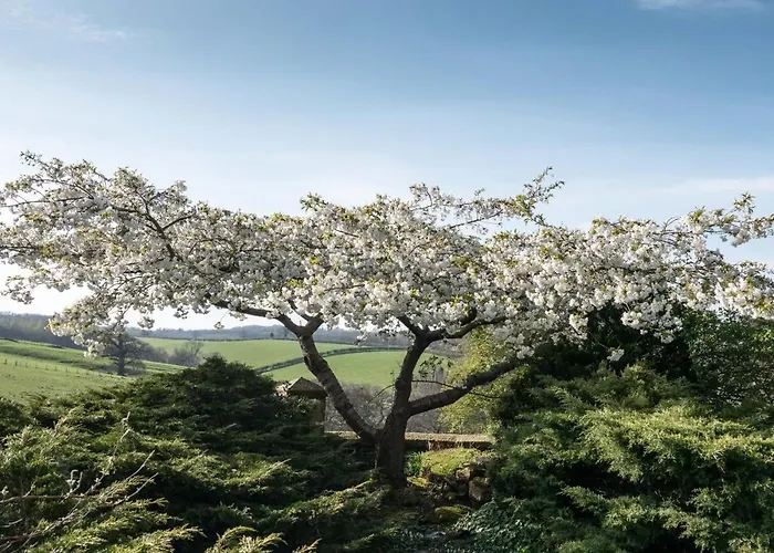 Apartment Valerian York