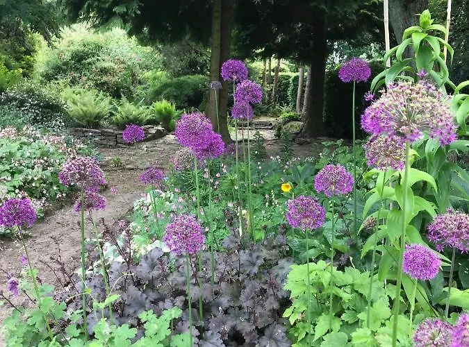 Lägenhet Valerian York